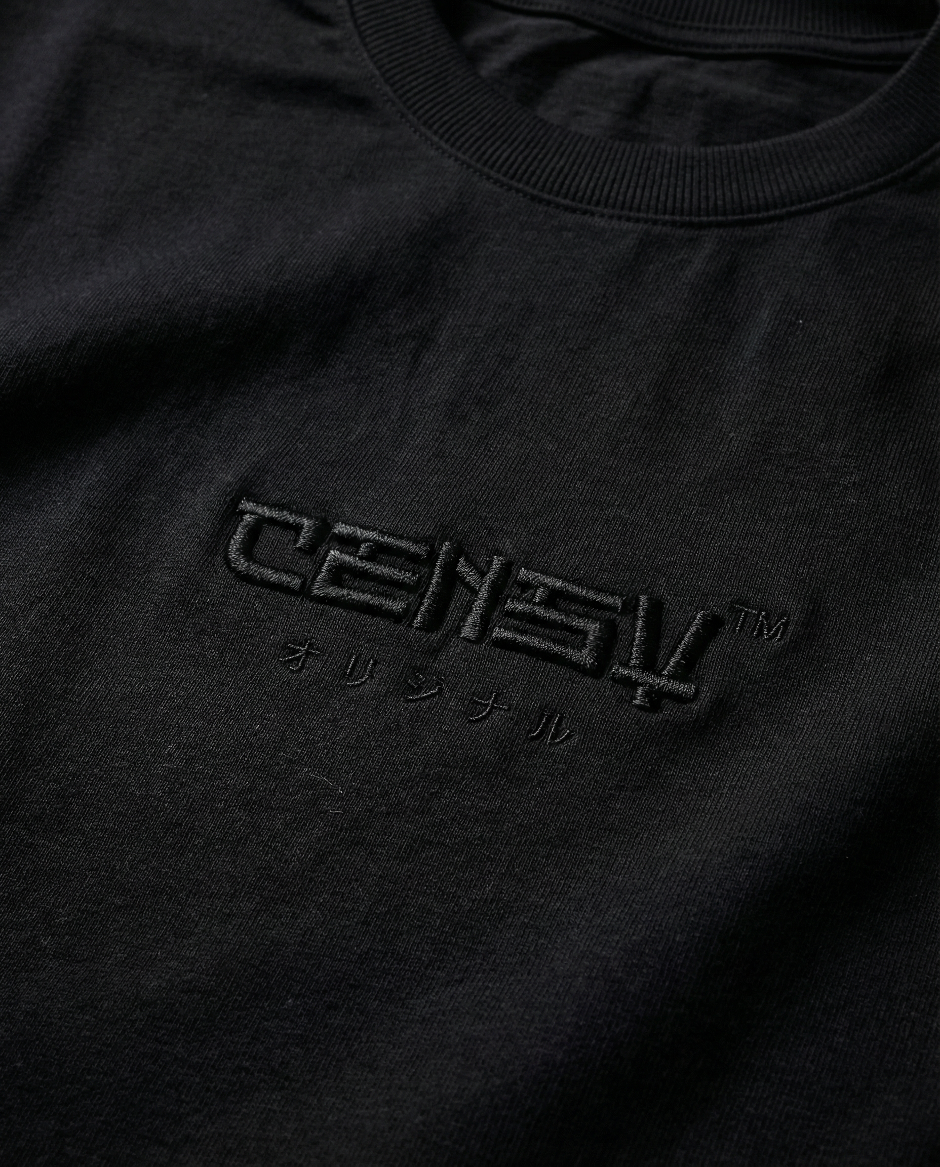 Αsymmetrical Logo オリジナル  T-shirt